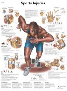 Workouts : Sports Physical Therapy and Common Injuries ...